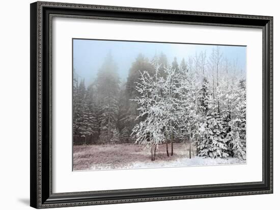 Frosty Morning-Mike Jones-Framed Giclee Print