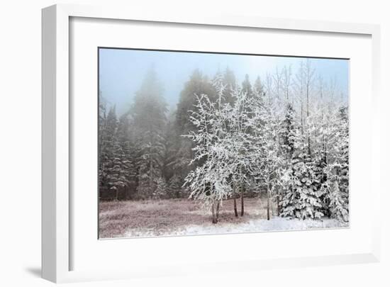 Frosty Morning-Mike Jones-Framed Giclee Print