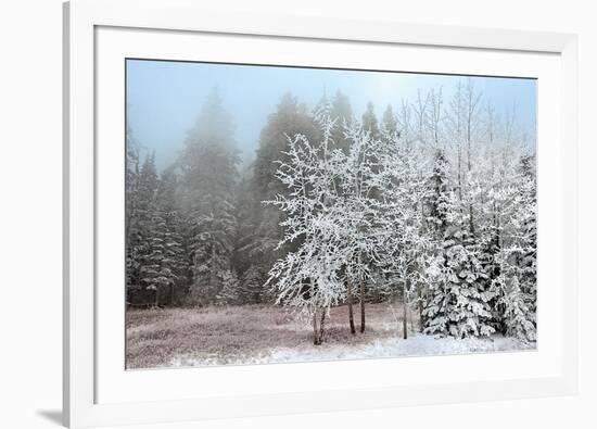 Frosty Morning-Mike Jones-Framed Art Print
