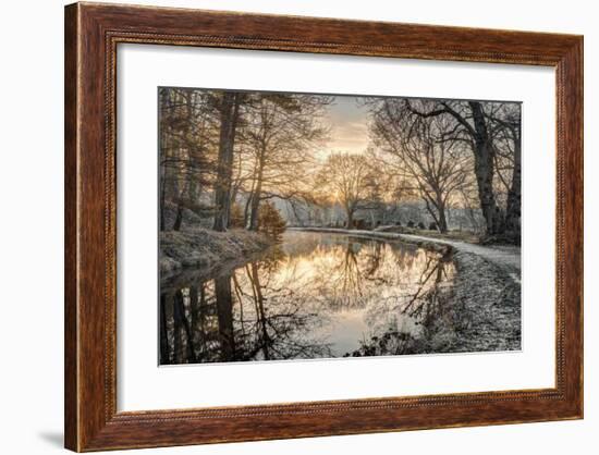 Frosty Morning-Assaf Frank-Framed Giclee Print