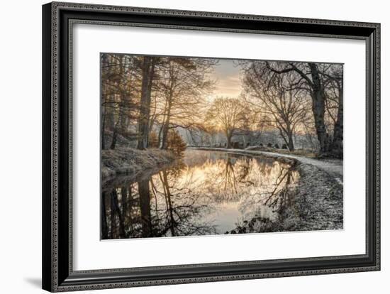 Frosty Morning-Assaf Frank-Framed Giclee Print