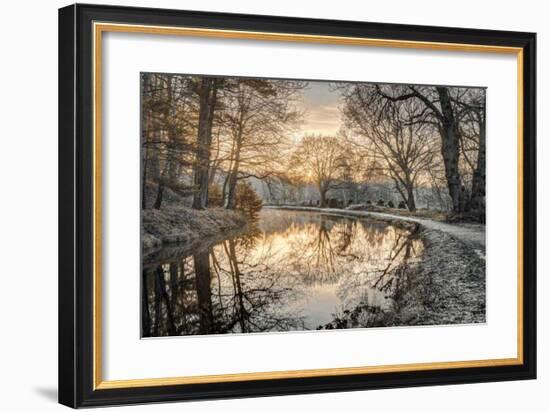 Frosty Morning-Assaf Frank-Framed Giclee Print