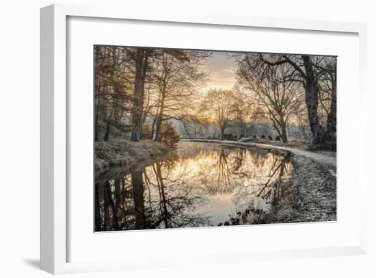 Frosty Morning-Assaf Frank-Framed Giclee Print