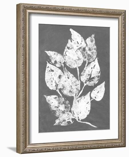 Frosty Philodendron I-Alicia Ludwig-Framed Art Print