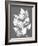 Frosty Philodendron I-Alicia Ludwig-Framed Art Print