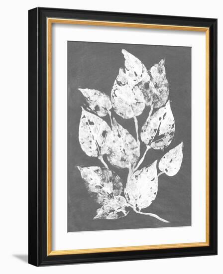 Frosty Philodendron I-Alicia Ludwig-Framed Art Print