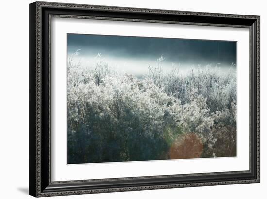 Frosty Sage Abstract III, Grand Teton, Wyoming-null-Framed Photographic Print