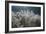 Frosty Sage Abstract VI, Grand Teton, Wyoming-null-Framed Photographic Print