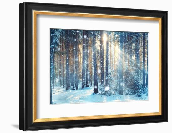 Frosty Winter Landscape in Snowy Forest-Kichigin-Framed Photographic Print