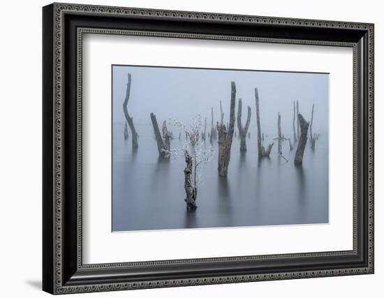 Frozen and foggy world ........-Piet Haaksma-Framed Photographic Print