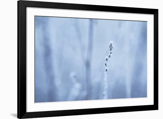 Frozen Beauty-Andreas Stridsberg-Framed Giclee Print