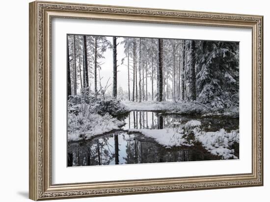 Frozen Calm-Andreas Stridsberg-Framed Giclee Print