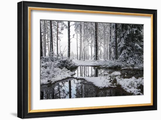 Frozen Calm-Andreas Stridsberg-Framed Giclee Print