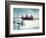 Frozen Dock-Bruce Nawrocke-Framed Photographic Print