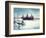 Frozen Dock-Bruce Nawrocke-Framed Photographic Print