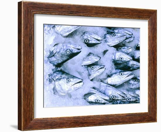 Frozen Fish at the Market in Malpe, Near Udupi, State of Karnataka, South India-Paul Harris-Framed Photographic Print