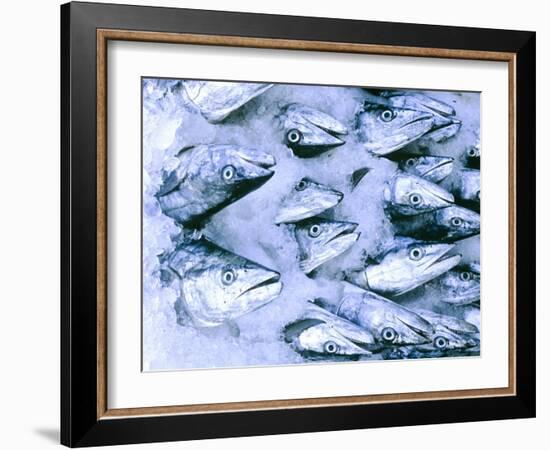 Frozen Fish at the Market in Malpe, Near Udupi, State of Karnataka, South India-Paul Harris-Framed Photographic Print