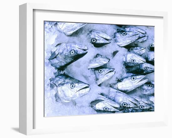 Frozen Fish at the Market in Malpe, Near Udupi, State of Karnataka, South India-Paul Harris-Framed Photographic Print