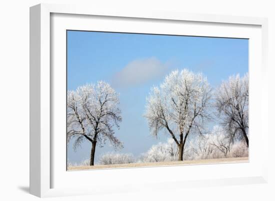 Frozen Fog I-Tammy Putman-Framed Photographic Print