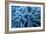 Frozen Grasses In Olympic National Park, WA-Justin Bailie-Framed Photographic Print