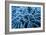 Frozen Grasses In Olympic National Park, WA-Justin Bailie-Framed Photographic Print