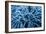 Frozen Grasses In Olympic National Park, WA-Justin Bailie-Framed Photographic Print