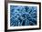 Frozen Grasses In Olympic National Park, WA-Justin Bailie-Framed Photographic Print