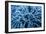 Frozen Grasses In Olympic National Park, WA-Justin Bailie-Framed Photographic Print