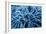 Frozen Grasses In Olympic National Park, WA-Justin Bailie-Framed Photographic Print