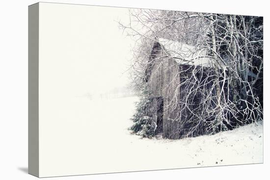 Frozen Hideaway-Andreas Stridsberg-Framed Stretched Canvas