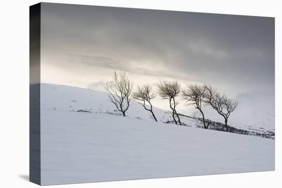 Frozen Hills-Andreas Stridsberg-Framed Stretched Canvas