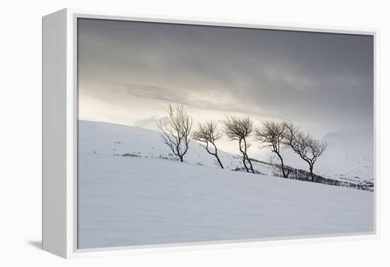 Frozen Hills-Andreas Stridsberg-Framed Stretched Canvas