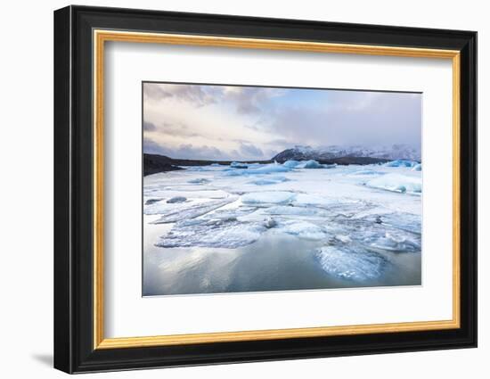 Frozen Icebergs in the Frozen Waters of Fjallsarlon Glacier Lagoon, South East Iceland, Iceland-Neale Clark-Framed Photographic Print