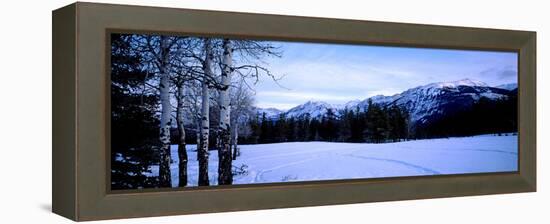 Frozen Lake with Mountains in the Background, Colin Range, Jasper National Park, Alberta, Canada-null-Framed Stretched Canvas
