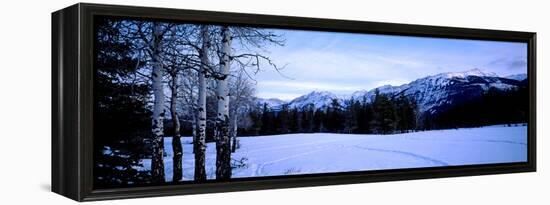 Frozen Lake with Mountains in the Background, Colin Range, Jasper National Park, Alberta, Canada-null-Framed Stretched Canvas