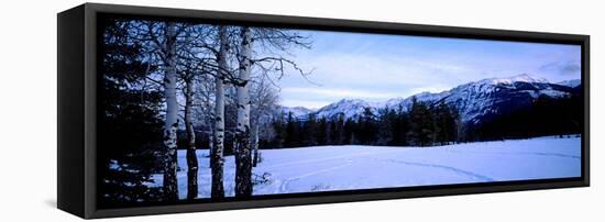 Frozen Lake with Mountains in the Background, Colin Range, Jasper National Park, Alberta, Canada-null-Framed Stretched Canvas