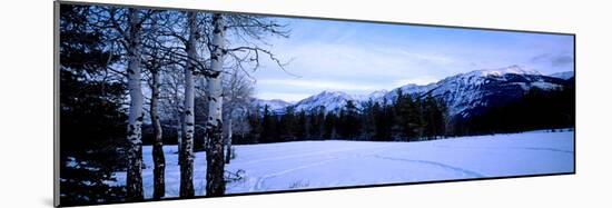 Frozen Lake with Mountains in the Background, Colin Range, Jasper National Park, Alberta, Canada-null-Mounted Photographic Print