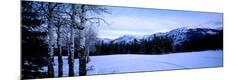 Photographic Print