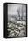 Frozen Lake-Vedran Vidak-Framed Premier Image Canvas