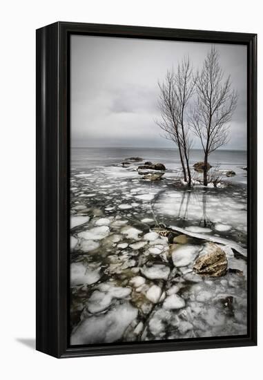 Frozen Lake-Vedran Vidak-Framed Premier Image Canvas