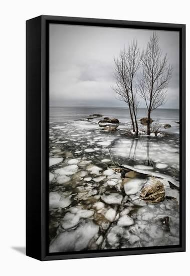 Frozen Lake-Vedran Vidak-Framed Premier Image Canvas