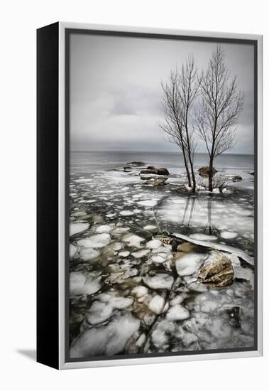 Frozen Lake-Vedran Vidak-Framed Premier Image Canvas