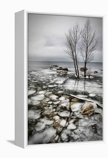 Frozen Lake-Vedran Vidak-Framed Premier Image Canvas