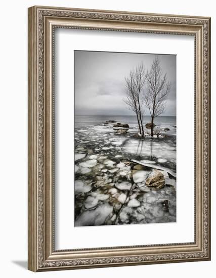 Frozen Lake-Vedran Vidak-Framed Photographic Print