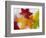 Frozen Maple Tree Leaves-Daisy Gilardini-Framed Photographic Print