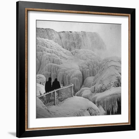 Frozen Niagara Falls, Trees, Park Grounds and Rocks Covered with Ice and Mist-Andreas Feininger-Framed Photographic Print