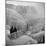 Frozen Niagara Falls, Trees, Park Grounds and Rocks Covered with Ice and Mist-Andreas Feininger-Mounted Photographic Print