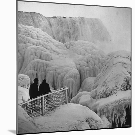 Frozen Niagara Falls, Trees, Park Grounds and Rocks Covered with Ice and Mist-Andreas Feininger-Mounted Photographic Print