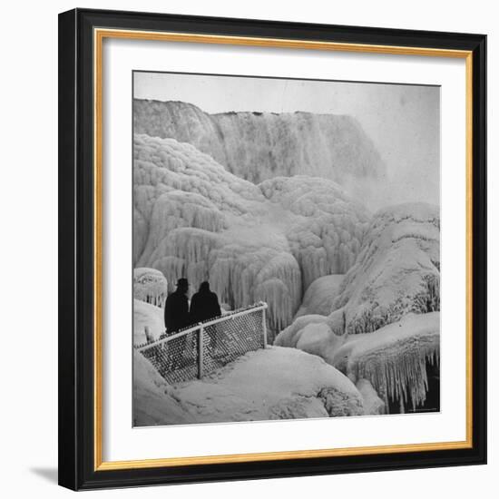 Frozen Niagara Falls, Trees, Park Grounds and Rocks Covered with Ice and Mist-Andreas Feininger-Framed Photographic Print