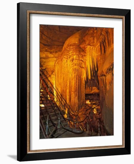 Frozen Niagra Formation, Mammoth Cave National Park, Kentucky, USA-Adam Jones-Framed Photographic Print